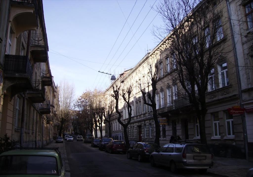 Novyi Apartment Lviv