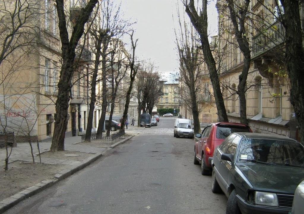 Novyi Lviv